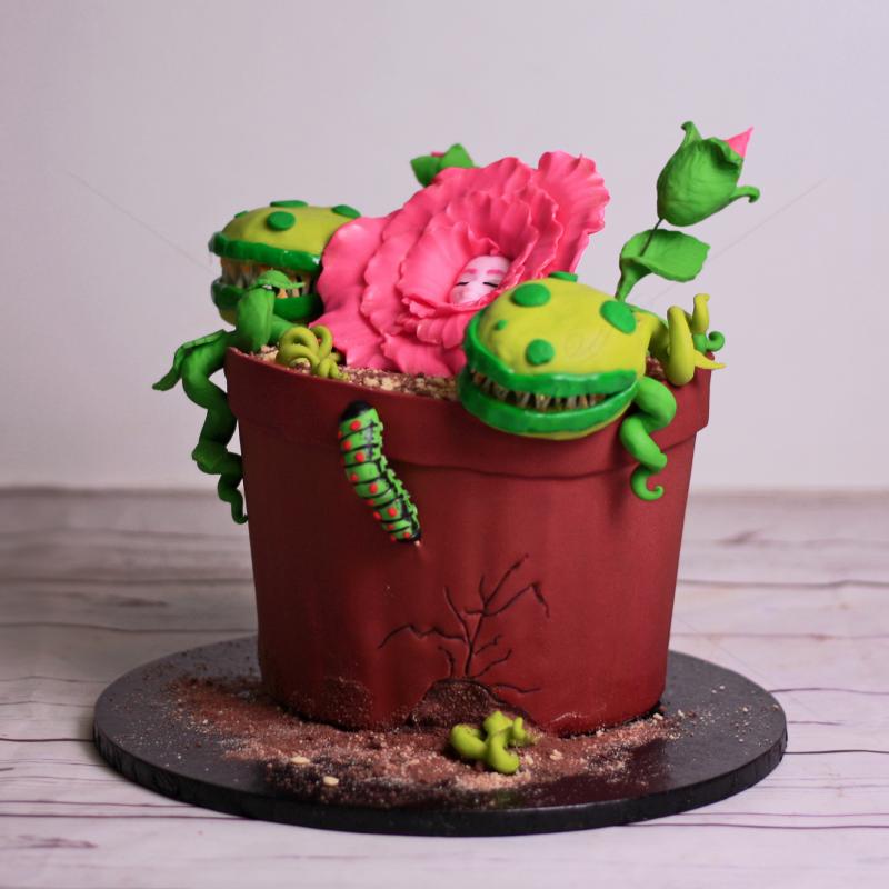 Tort Personalizat Ghiveci Plante Carnivore