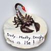 Tort Zodiac Scorpion