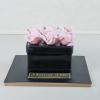 Tort Corporate Maison D Or