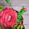 Tort Personalizat Ghiveci Plante Carnivore-2