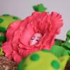 Tort Personalizat Ghiveci Plante Carnivore-3