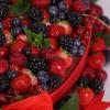 Tort Simfonia Fructelor de Padure-2