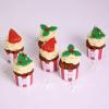 Mini Cupcake Frosting Craciun 